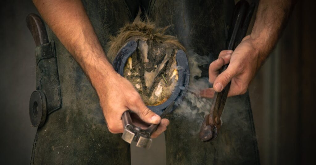 Por que os cavalos usam ferraduras? Descubra agora!