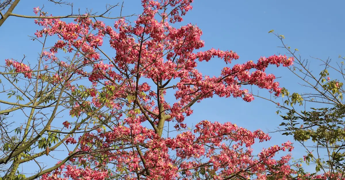 O que são jardins botânicos e qual sua importância?