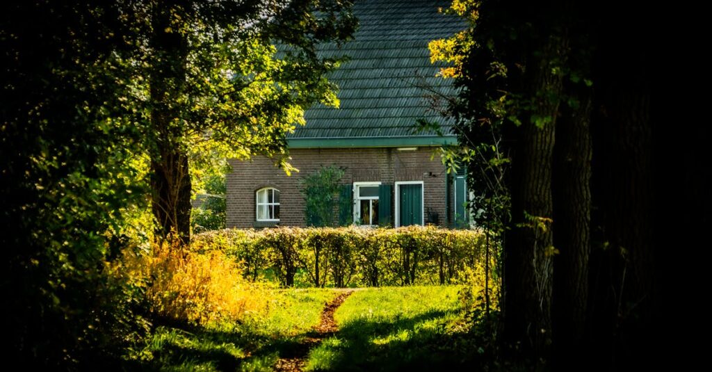 Onde Assistir Vídeos de Casas Cottagecore Online?