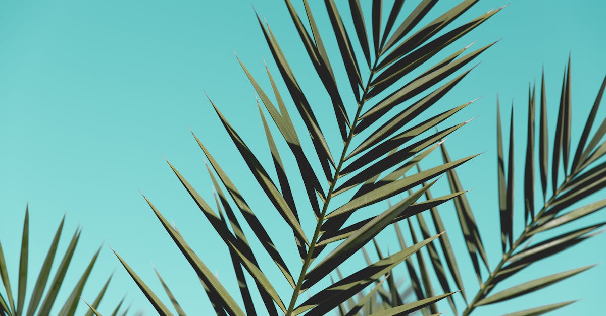 Por que o céu é azul quando olhamos para o ar?