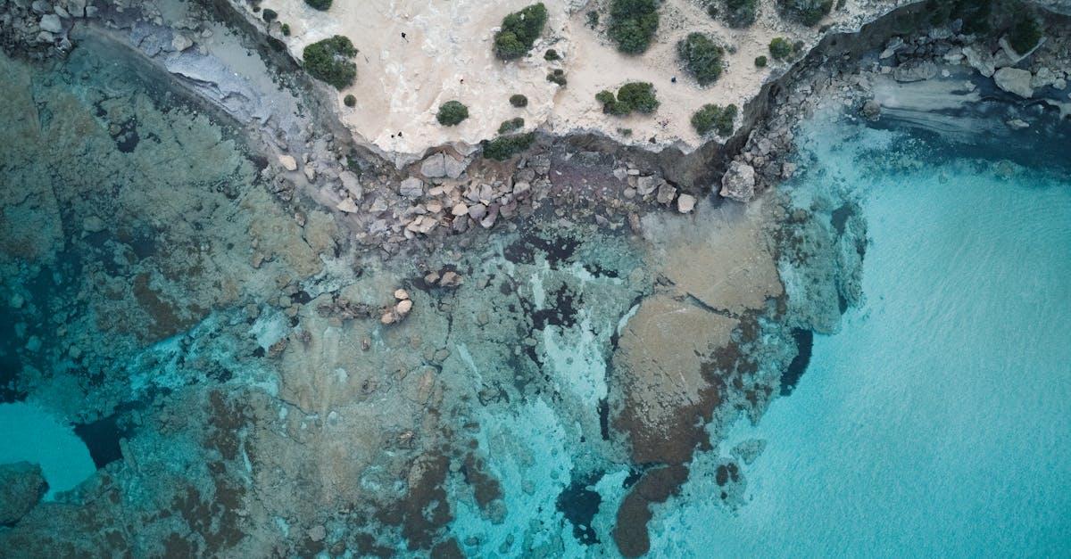 Por que Paphos é o destino de férias perfeito para você?
