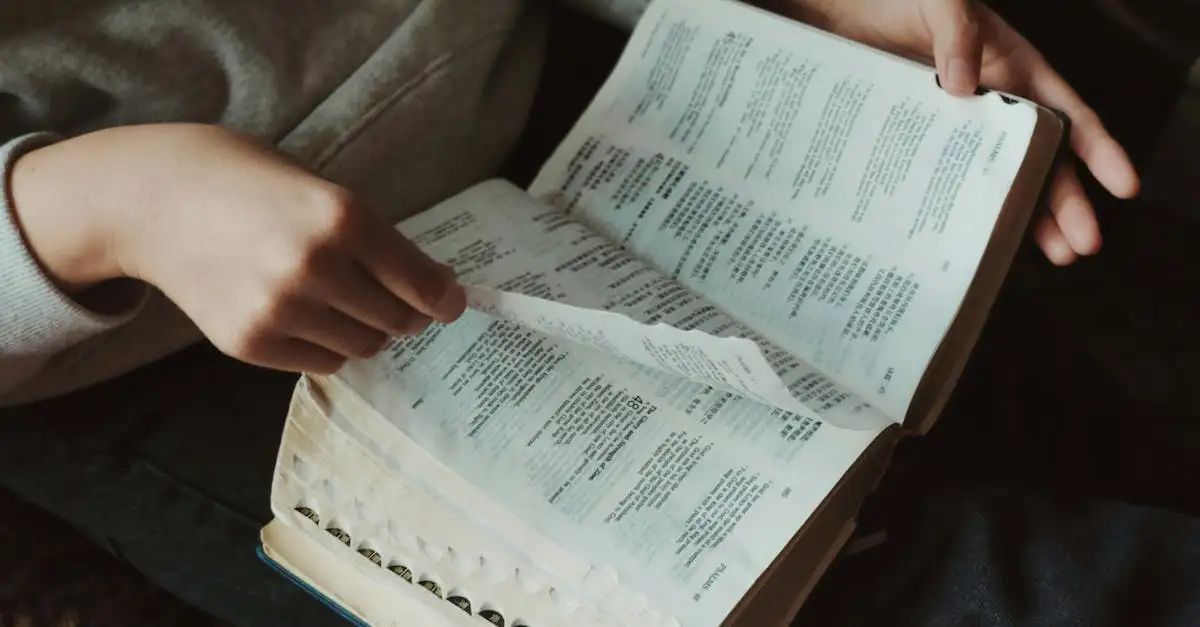 Quais semelhanças você encontra na Bíblia? Descubra!