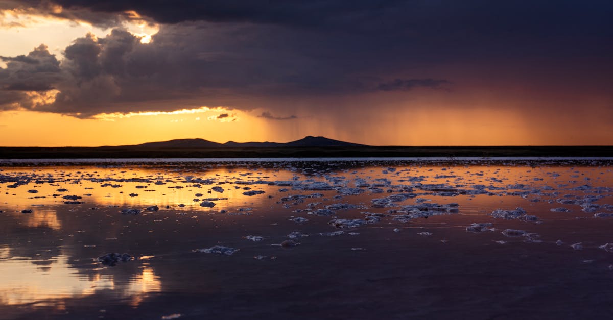 Quanto sal existe no gelo? Descubra agora!