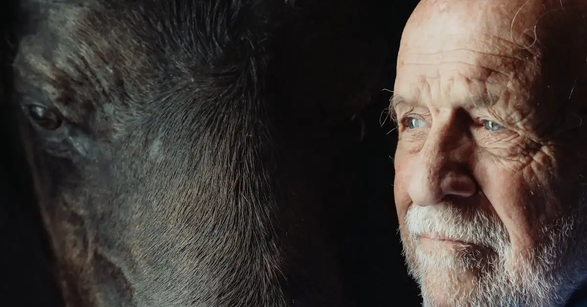 Como lidar com a perda e o luto de forma saudável?