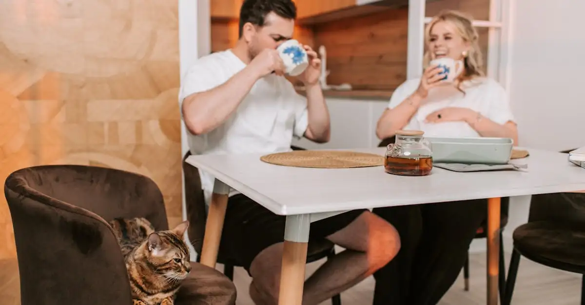 Como os gatos identificam seus donos com precisão?