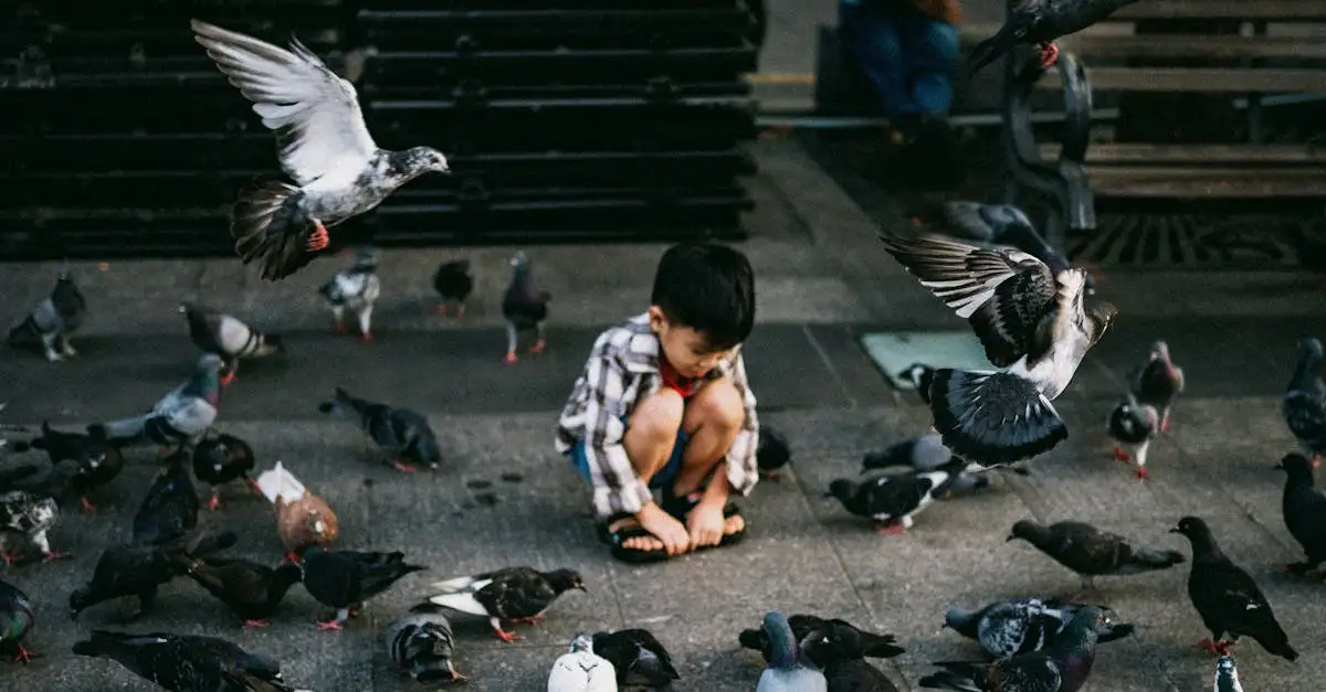 Como os jovens pássaros aprendem a voar?