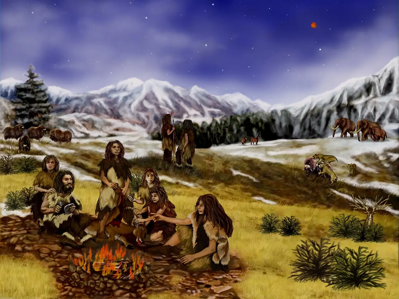Como os neandertais sobreviveram em climas frios?