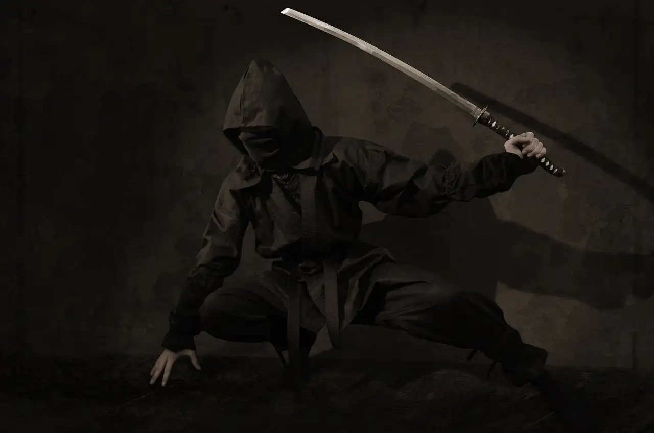 Ninjas: O que são e eles realmente existem?