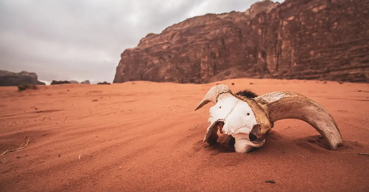 O que é o Parque Natural Wadi Rum na Jordânia?