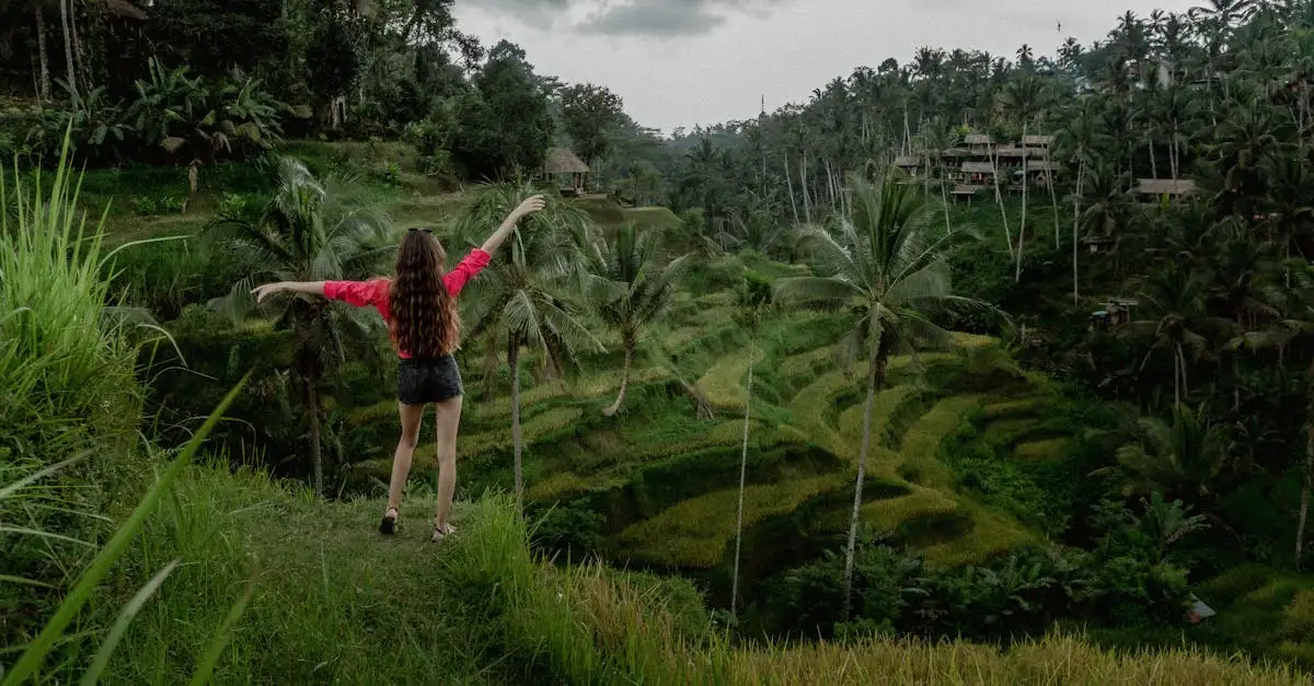 O que fazer no sereno campo de Ubud, Indonésia?