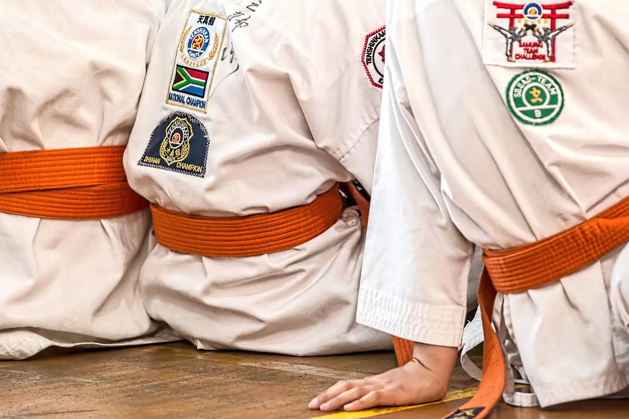 O que torna o Karate Kyokushin tão especial?
