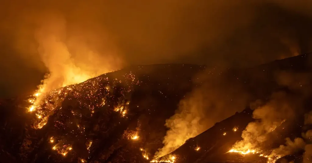 Quais foram as causas dos incêndios florestais na Califórnia em 2021?
