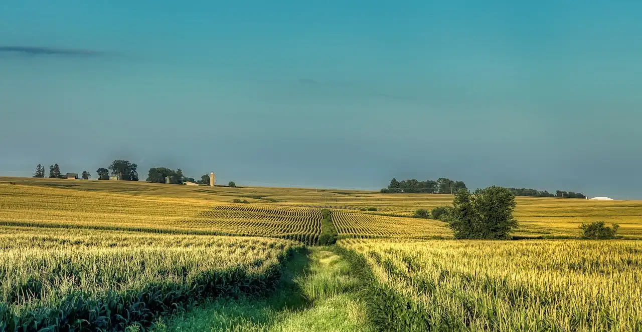Quais são as 3 melhores atrações para visitar em Iowa?