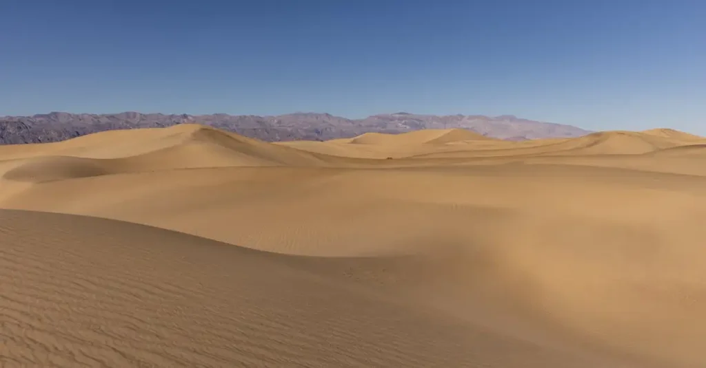 Qual é o menor deserto do mundo: Carcross é o campeão?