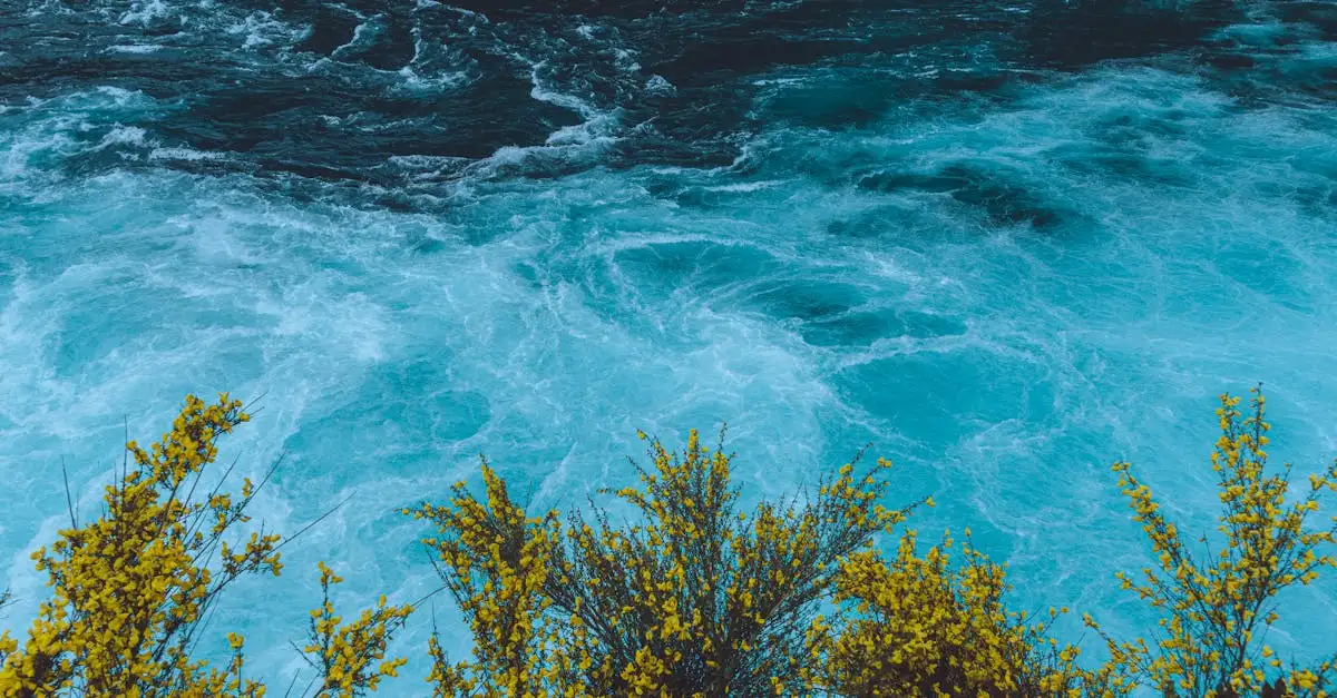 Qual rio alimenta o Lago Titicaca e o Desaguadero?