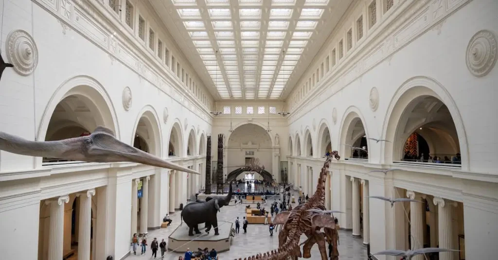 Quão grandes eram os dinossauros como o Argentinosaurus?