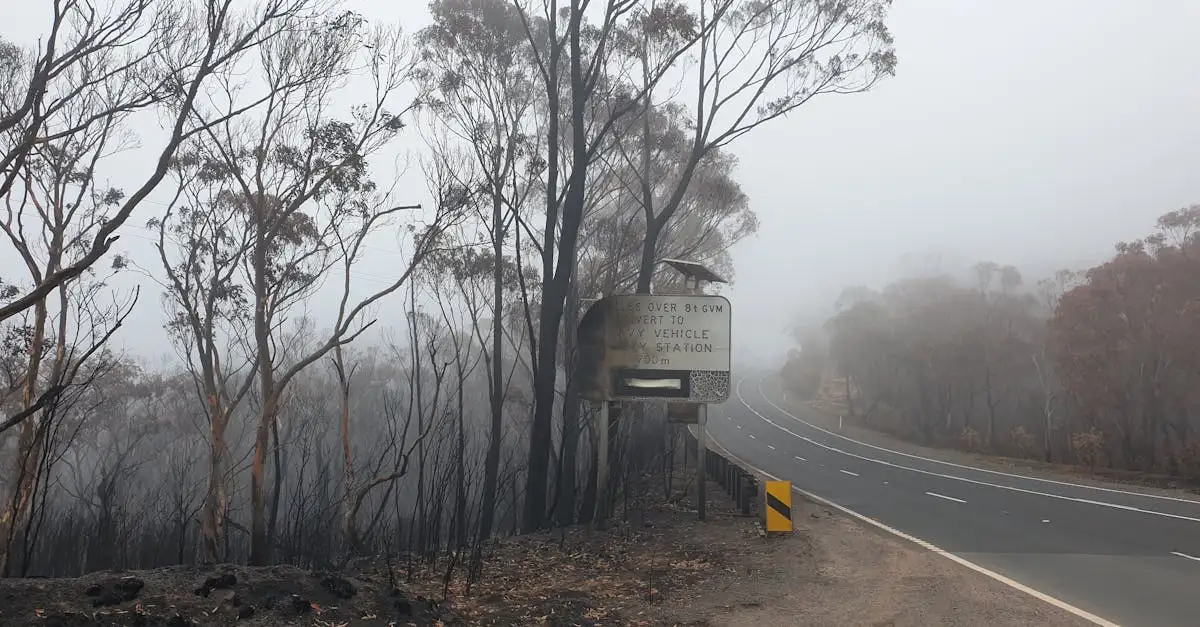 O que provocou os incêndios florestais na Austrália em 2019?