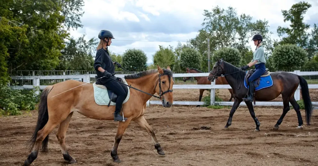 Por que o esporte equestre é parte das Olimpíadas?