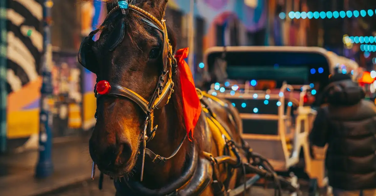 Por que o esporte equestre é parte das Olimpíadas?