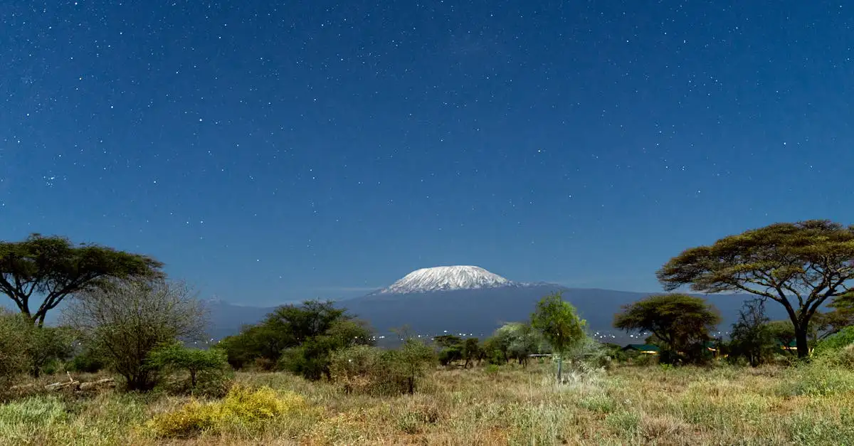 Qual cidade está ao pé do Kilimanjaro na Tanzânia?