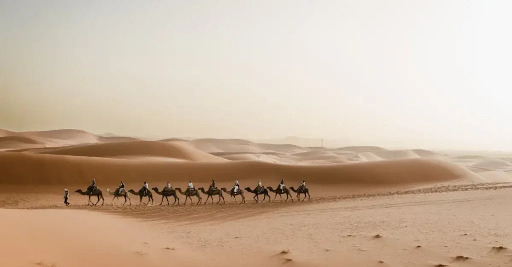Qual é o maior deserto da África? Descubra agora!