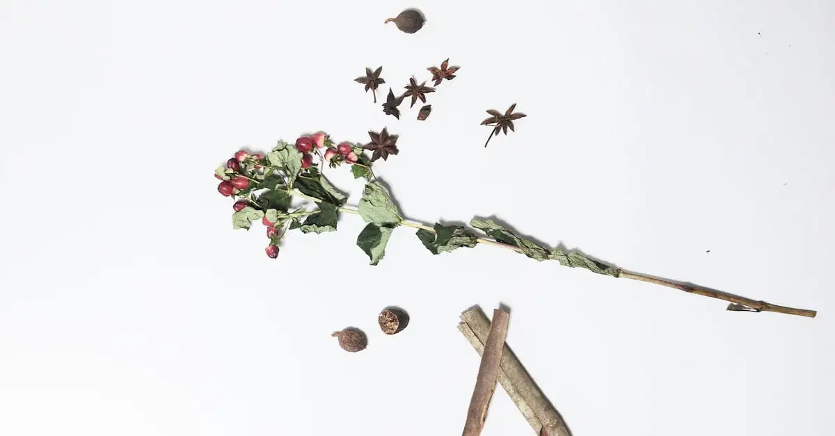 Qual especiaria é feita da flor da noz-moscada?