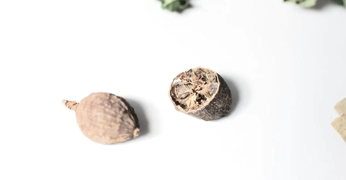 Qual especiaria é feita da flor da noz-moscada?