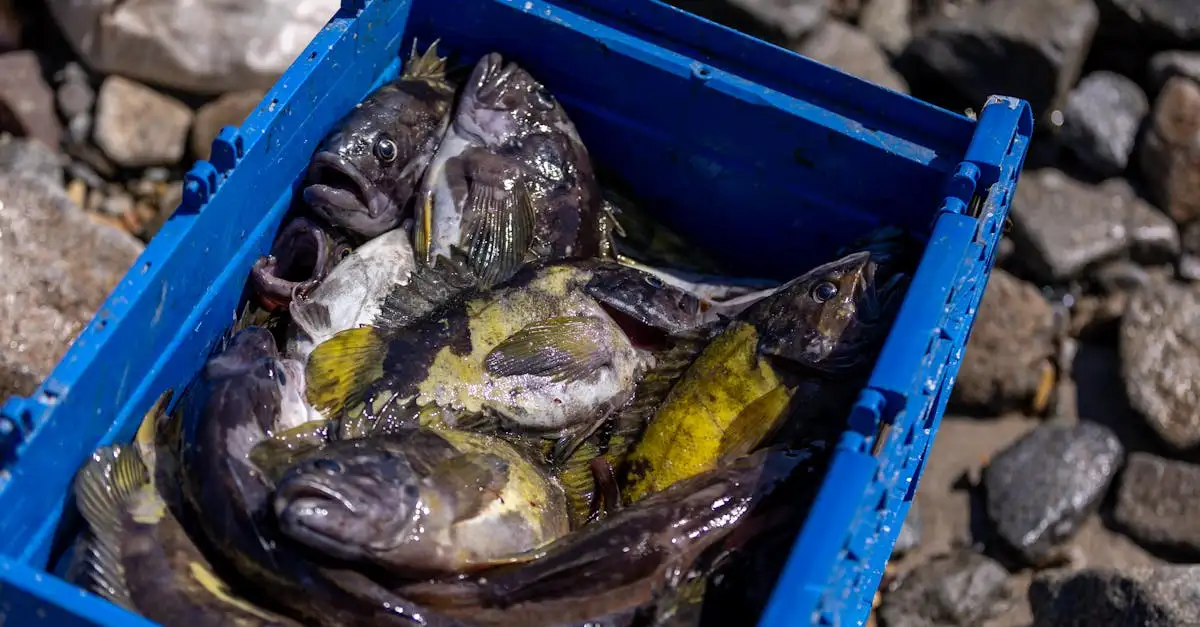 Qual o impacto do Lago Winnipeg na pesca da região?