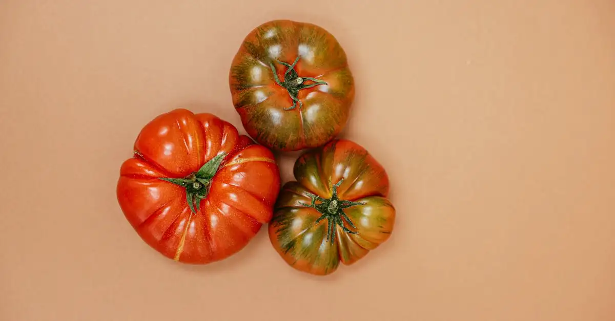 Qual foi o impacto das Três Irmãs na agricultura?