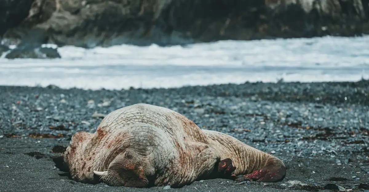 Como a IA pode ajudar na proteção da biodiversidade?