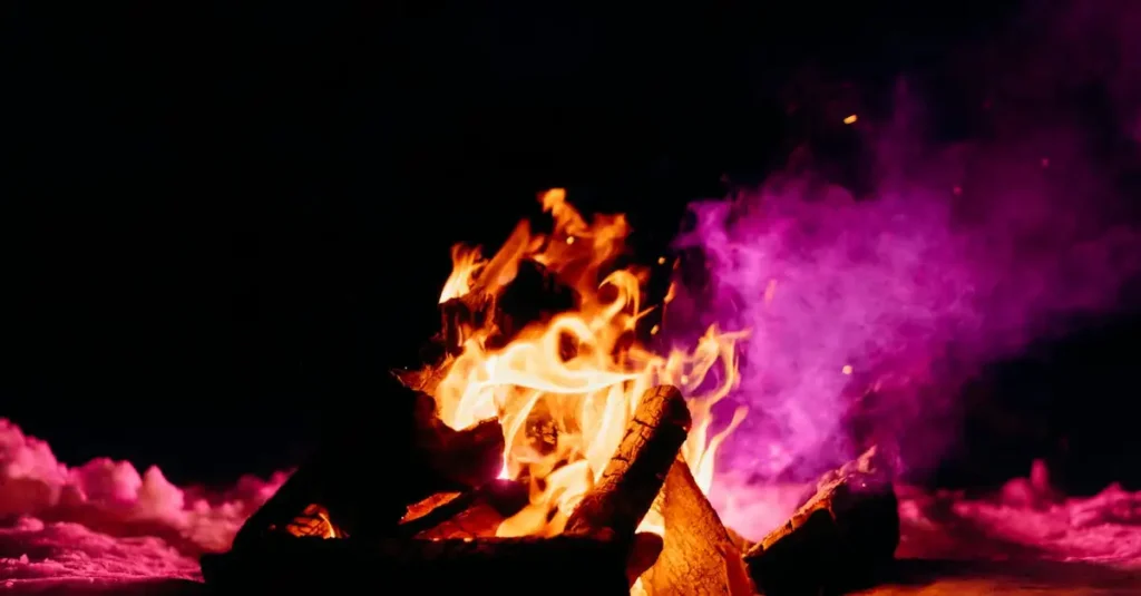 Como os renas sobrevivem ao frio extremo?