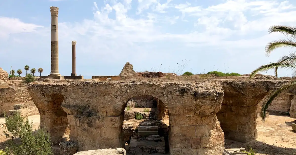 Onde estão as ruínas históricas de Cartago na Tunísia?