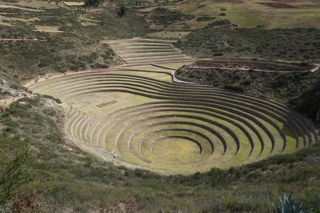 Quais eram as principais culturas cultivadas pelos Incas?
