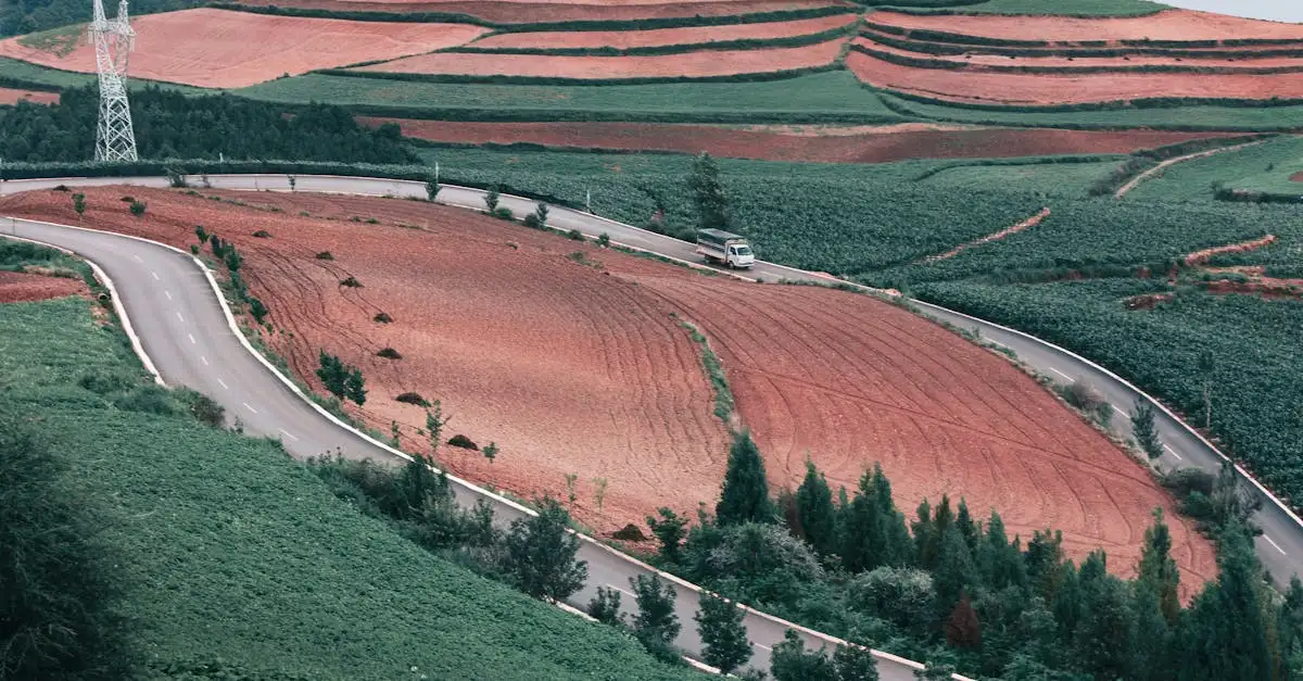 Quais eram as principais culturas cultivadas pelos Incas?