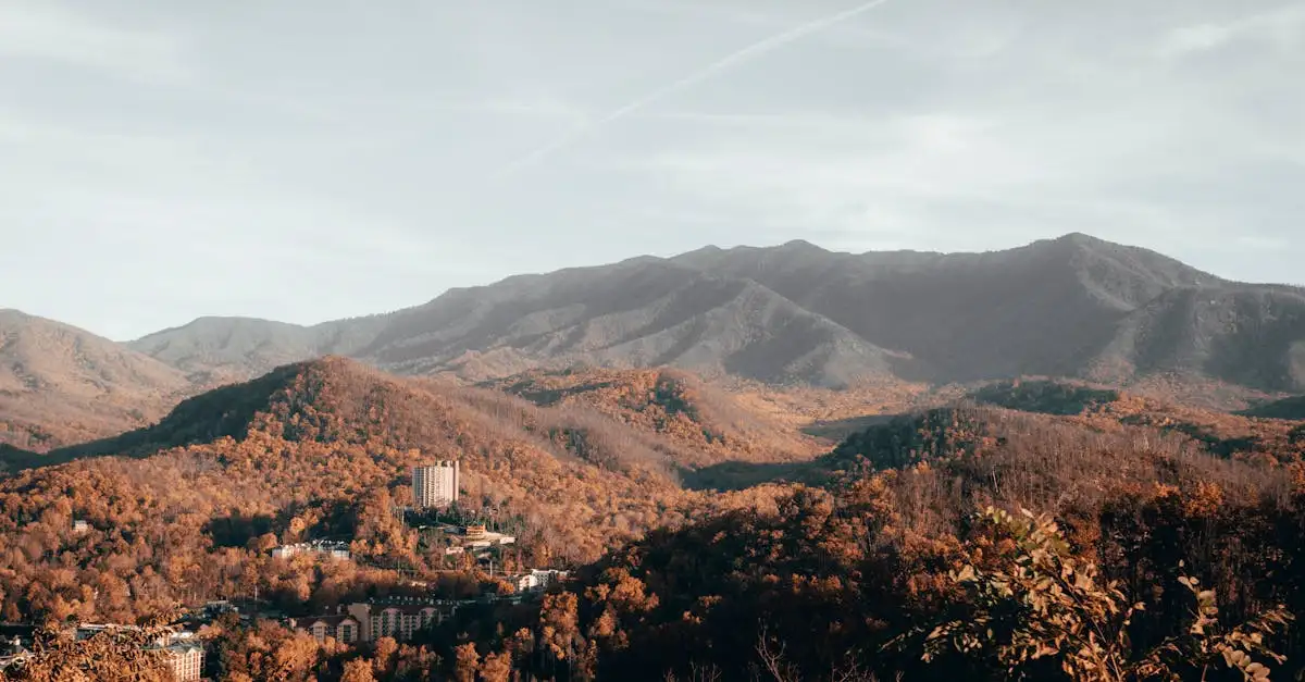 Quais são as montanhas mais famosas do Parque Nacional Great Smoky?