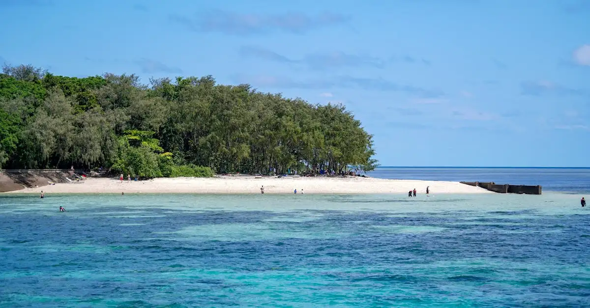 Qual cidade australiana está próxima da Grande Barreira de Coral?