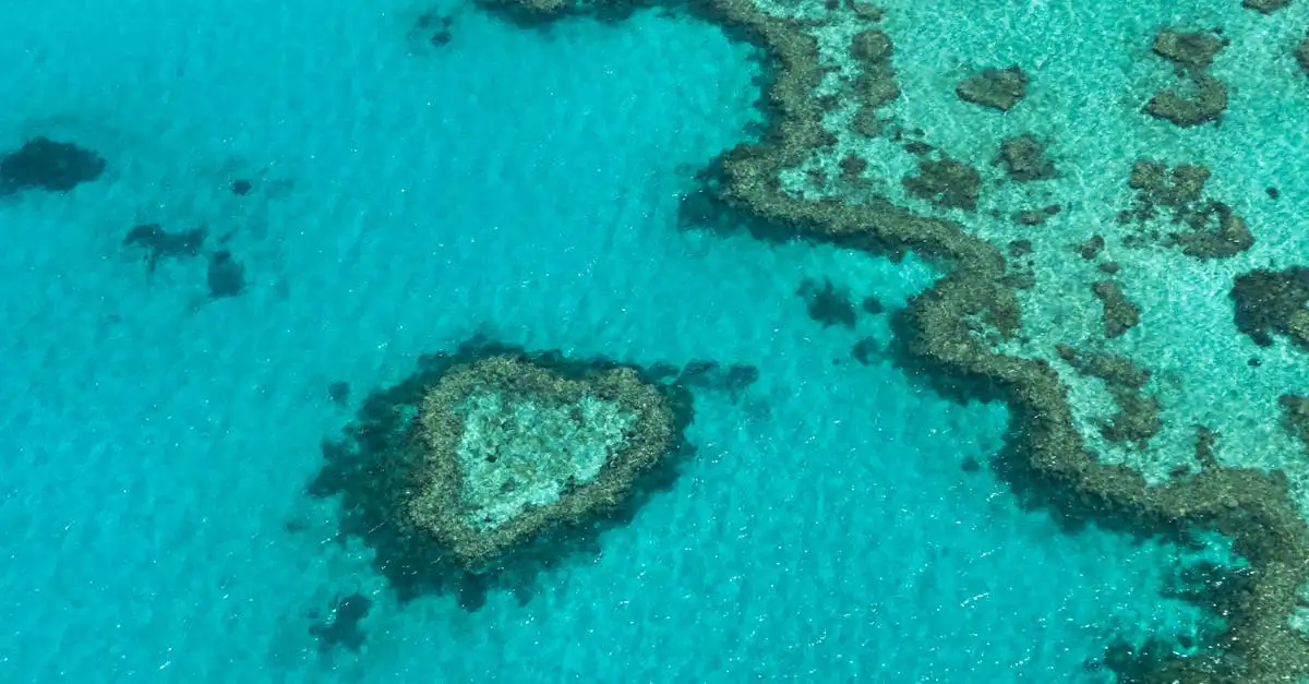 Qual cidade australiana está próxima da Grande Barreira de Coral?