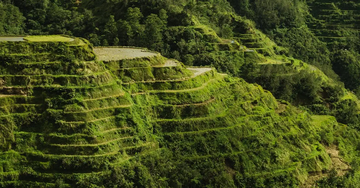 Qual cidade das Filipinas abriga os campos de arroz de Banaue?