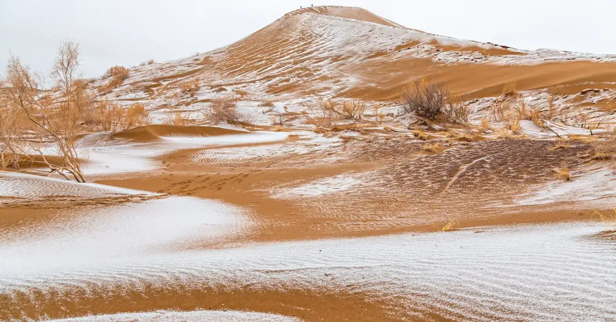 Qual deserto frio na Patagônia você conhece?