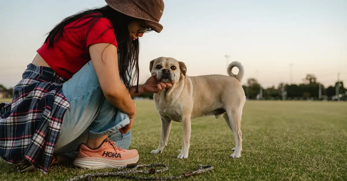 Qual é a expectativa de vida média de um cachorro?