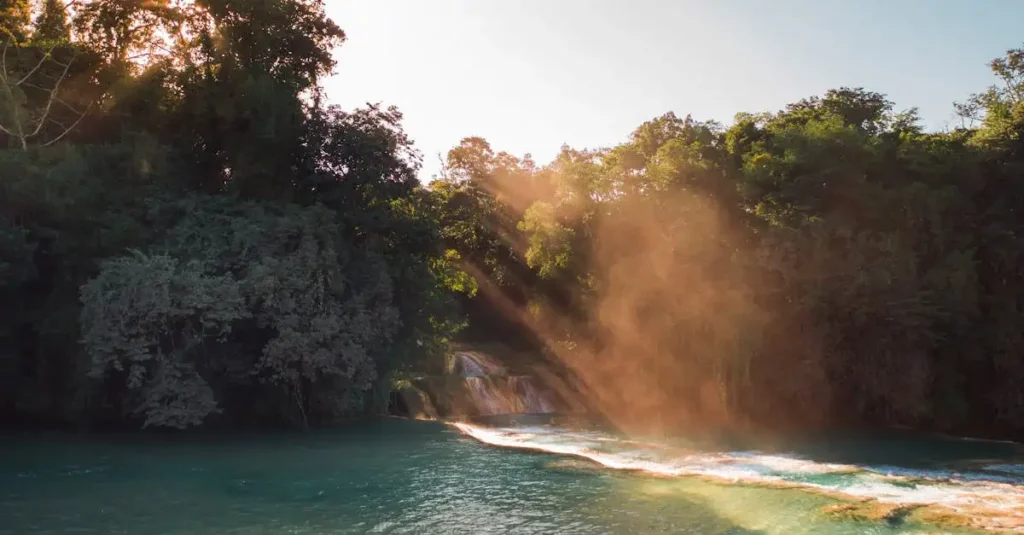 Qual é o papel da Amazônia na política ambiental atual?