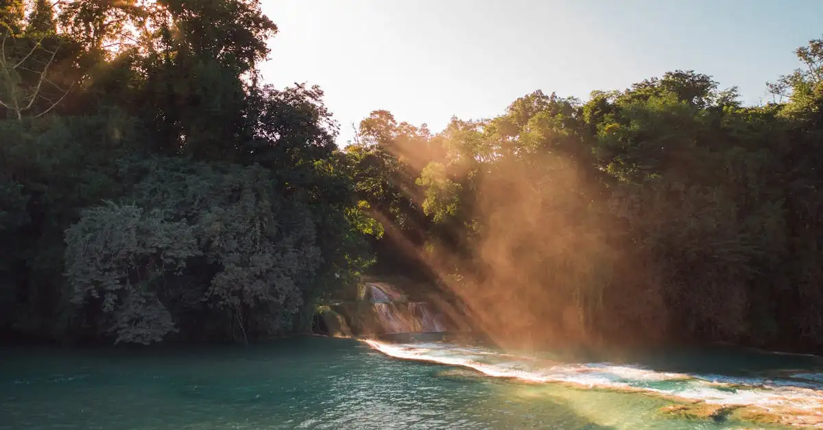 Qual é o papel da Amazônia na política ambiental atual?