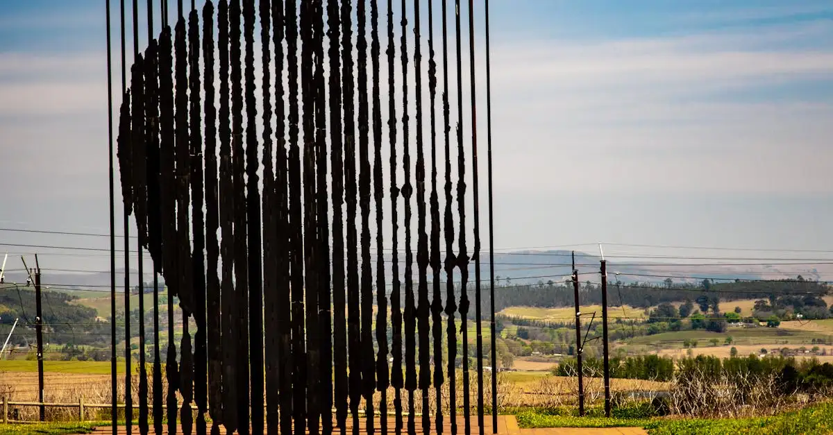 Qual é o verdadeiro nome do apartheid na África do Sul?