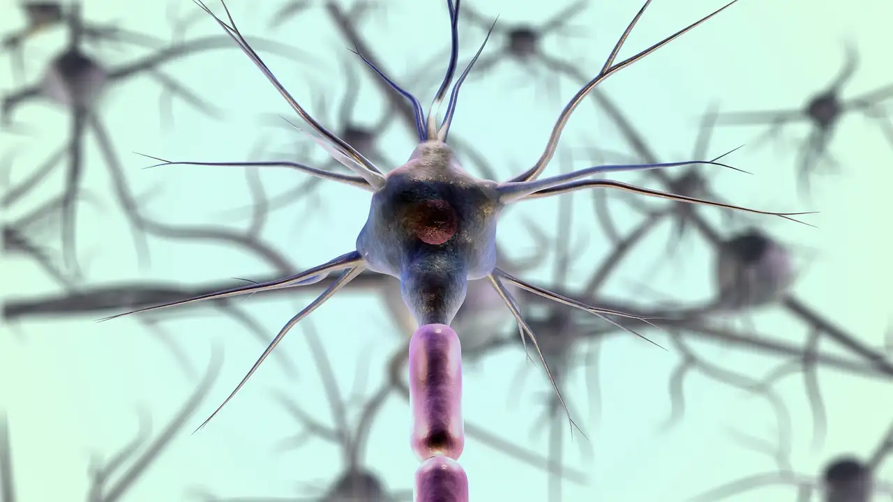 Como a menta pode acalmar os nervos? Descubra agora!