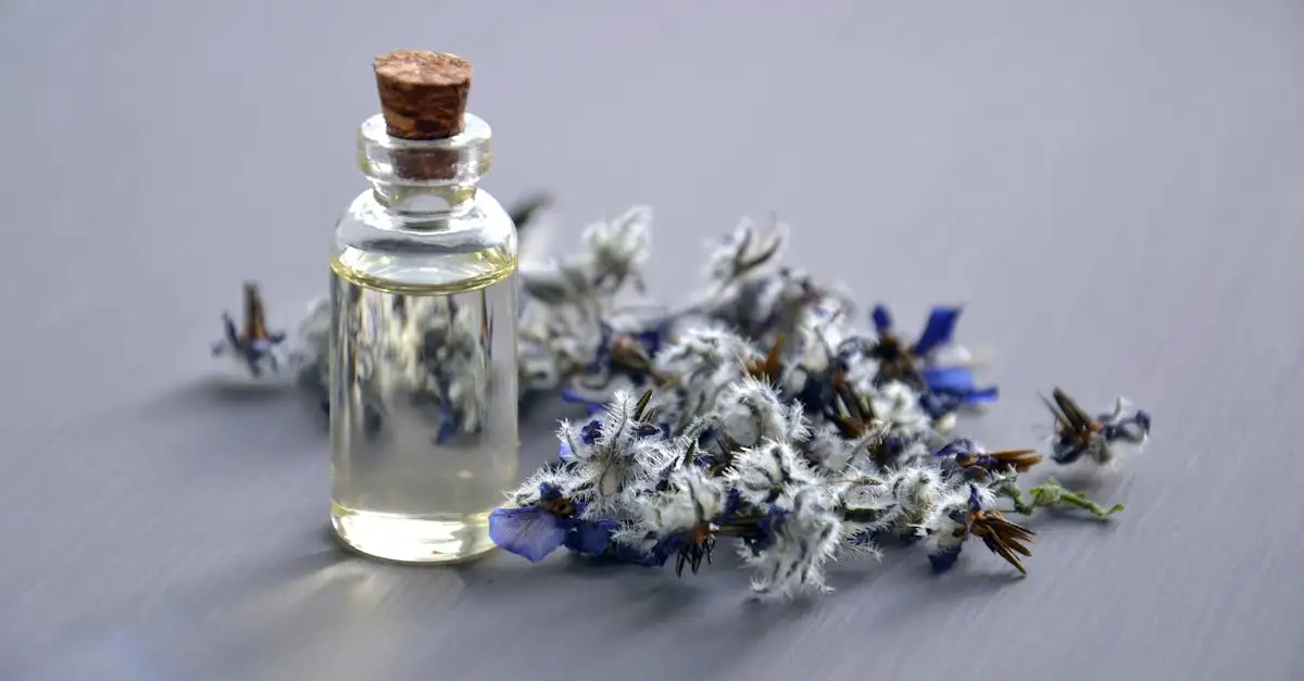 Como as civilizações antigas utilizavam ervas medicinais?