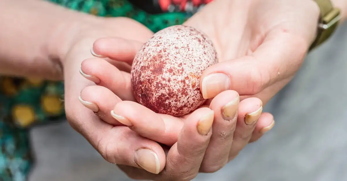 O que sabemos sobre ovos e ninhos de dinossauros?