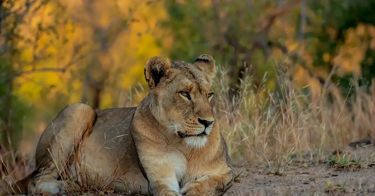 Por que o Parque Nacional Serengeti é tão famoso na Tanzânia?