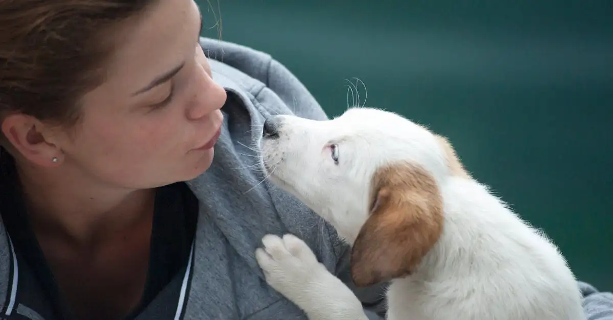 Por que os cães são únicos na interação social com humanos?