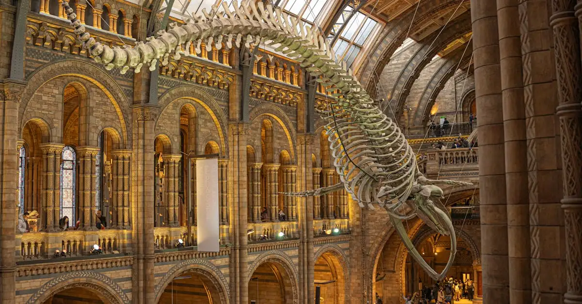 Quais as últimas descobertas sobre dinossauros em 2023?