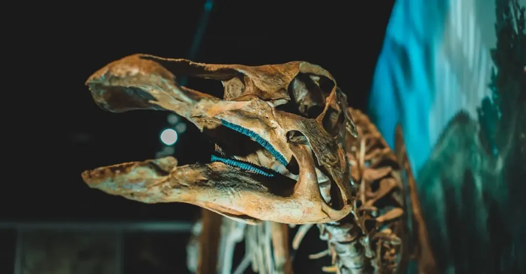 Quais fósseis mostram o comportamento dos dinossauros?